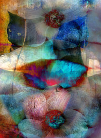 Photographic Artwork