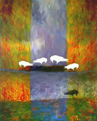 Photographic Artwork