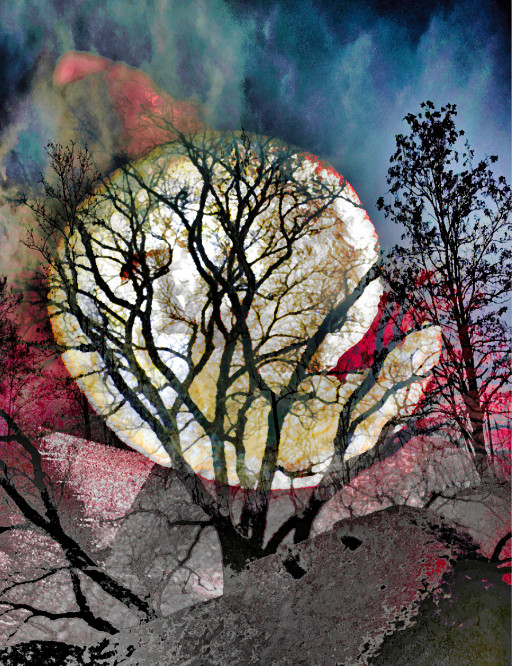 Photographic Artwork