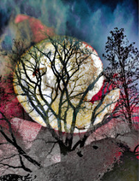 Photographic Artwork