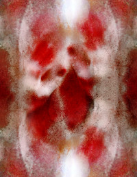 Photographic Artwork