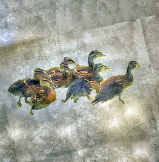 Photographic Artwork