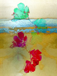 Photographic Artwork