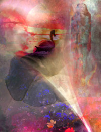 Photographic Artwork