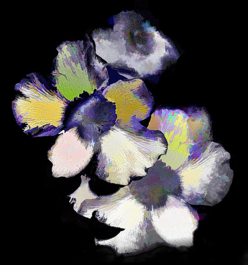 Photographic Artwork