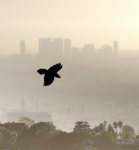 Photographic Artwork