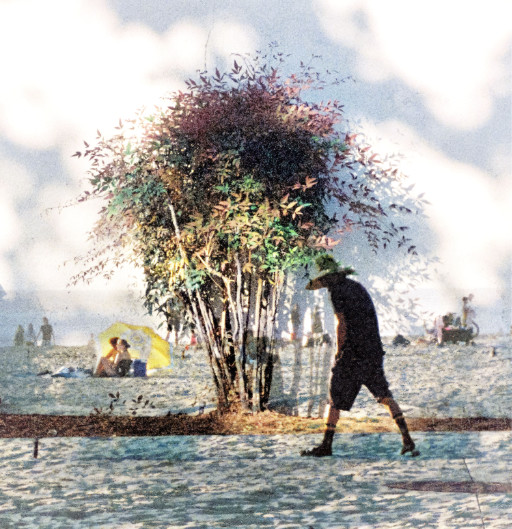 Photographic Artwork