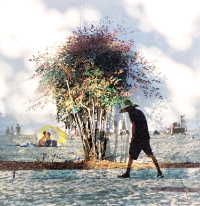 Photographic Artwork