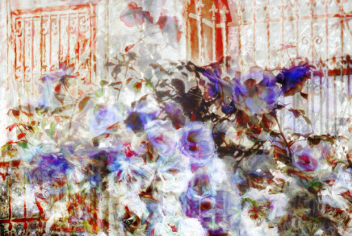 Photographic Artwork