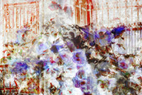 Photographic Artwork