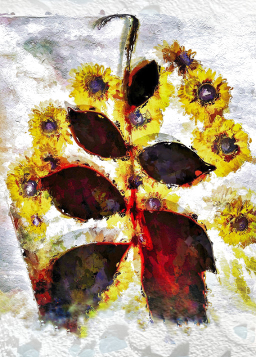 Photographic Artwork