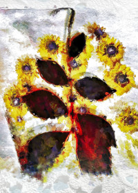 Photographic Artwork