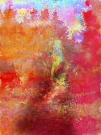 Photographic Artwork