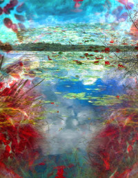 Photographic Artwork