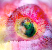 Photographic Artwork