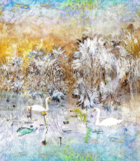 Photographic Artwork