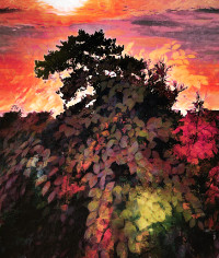 Photographic Artwork