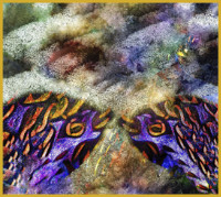 Photographic Artwork