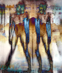 Photographic Artwork