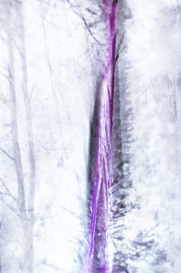 Photographic Artwork