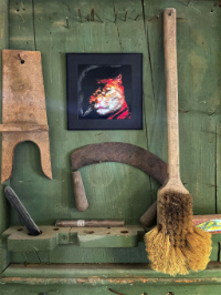 Photo of a smoking cat hanging on a green workshop door